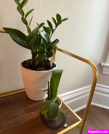 Hellterskelter8fans OnlyFans Thumbnail #KZyVXsoZOc