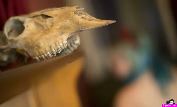 Hephaestus OnlyFans Thumbnail #YroJD3hl2P