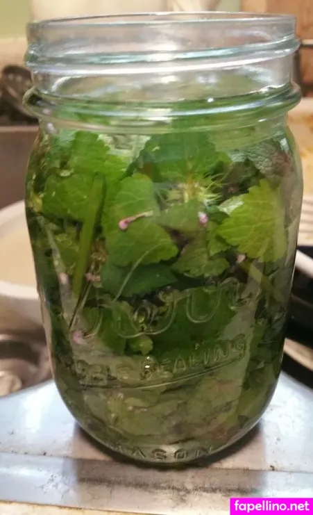 Herbalistbabe OnlyFans Thumbnail #EUZXYwXbfg