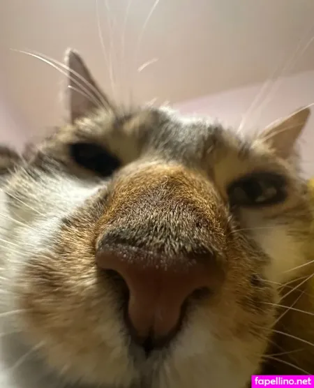 Heybarbie23 OnlyFans Thumbnail #w96VO0jVyX