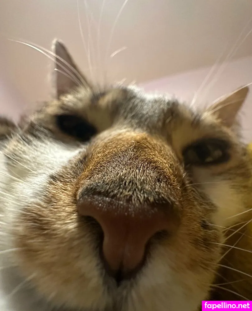 heybarbie23, heybay23 Nude Leaked OnlyFans Photo #w96VO0jVyX