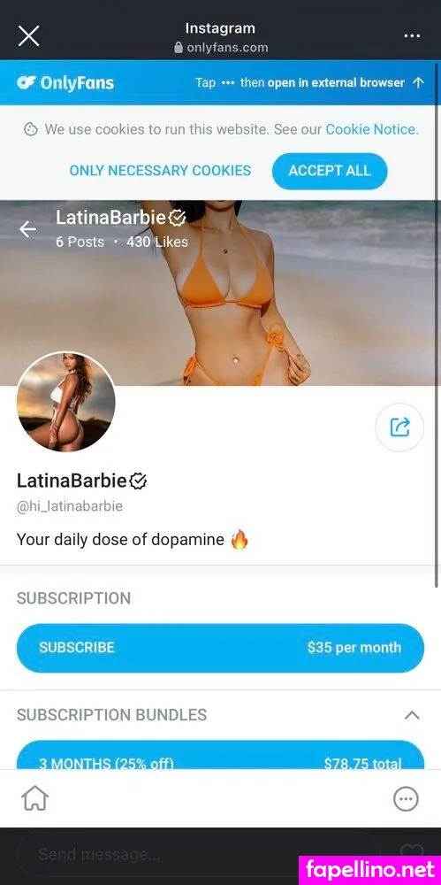 latinabarbieoficial Nude Leaked OnlyFans Photo #IPefMq0I5k