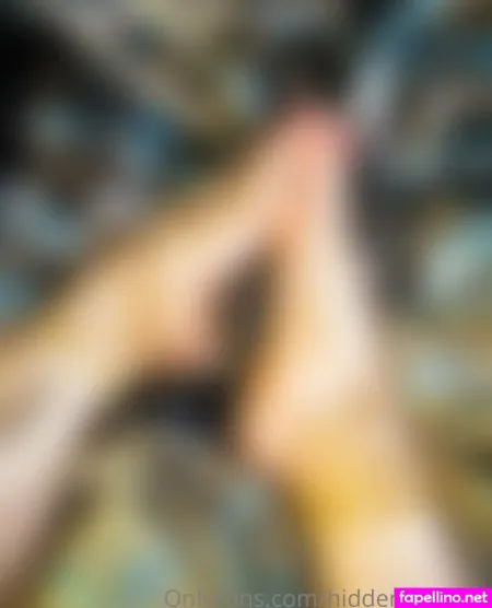 Hidden8nature Main Profile Photo