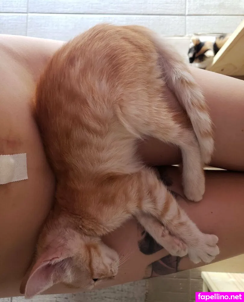 hinamelonchan Nude Leaked OnlyFans Photo #8VZyNIXuIl