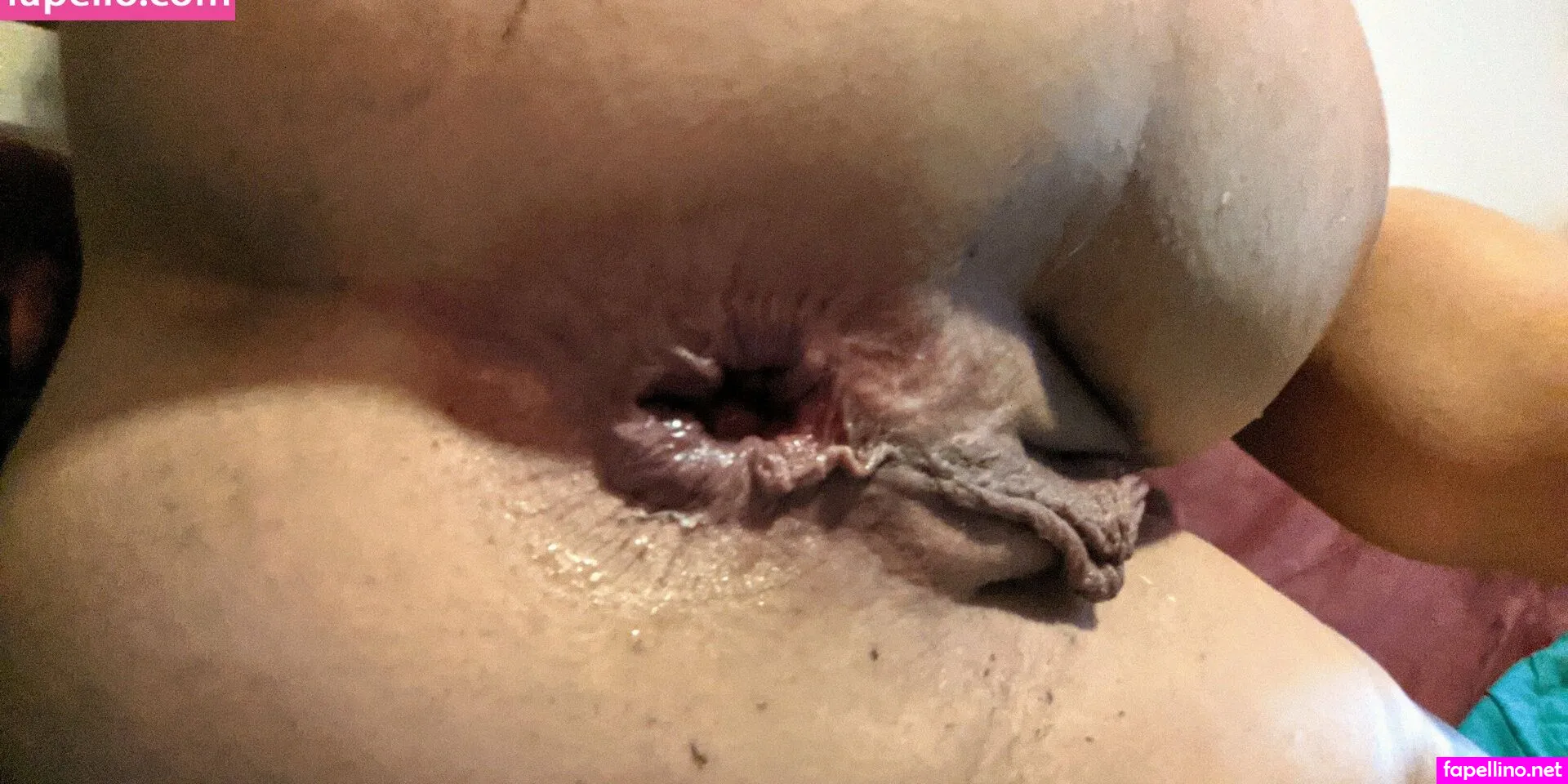 holelottolove, livingtinywithawolf Nude Leaked OnlyFans Photo #ELbqiK5I6o