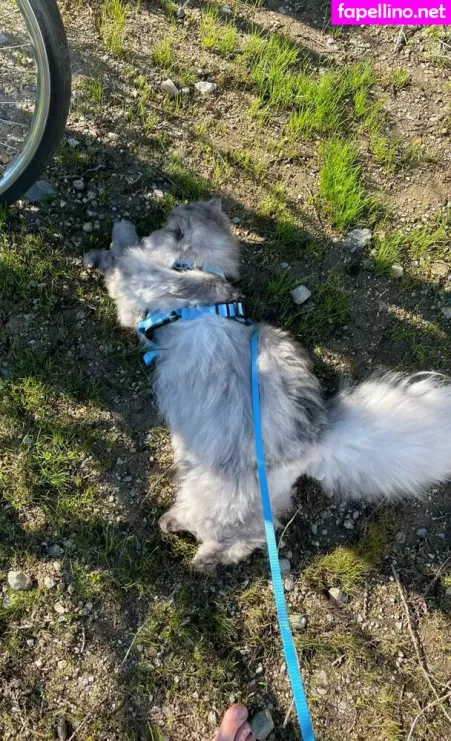 Holls8 OnlyFans Thumbnail #IWc9NGNCcg