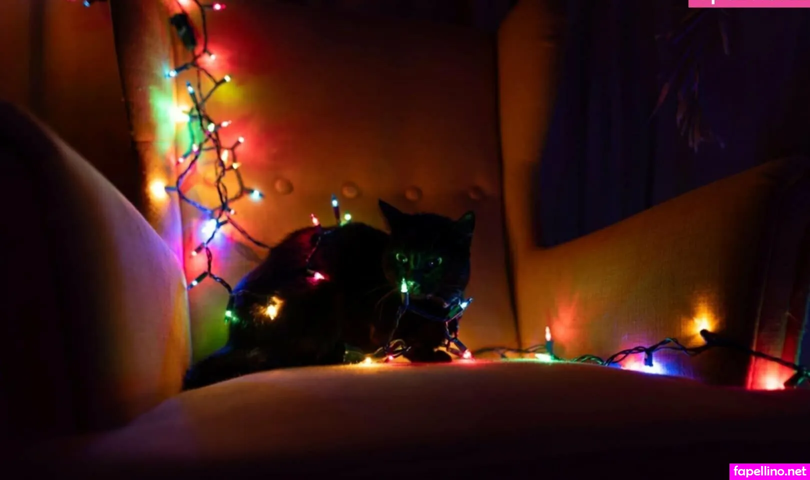 holycherries Nude Leaked OnlyFans Photo #nQclwAz2iq