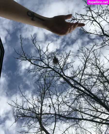 Holykoley OnlyFans Thumbnail #NeMp3gKaoq