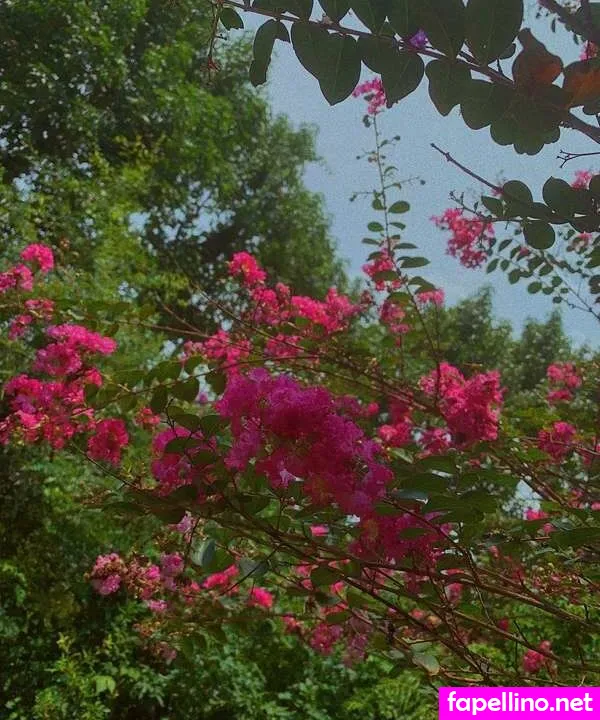 dropofhoney, honeysummerz Nude Leaked OnlyFans Photo #WtaJYttaum