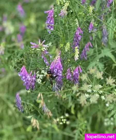 Honey Summers OnlyFans Thumbnail #XYogNA6cIA