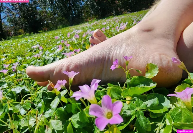 Honeyedtoesies OnlyFans Thumbnail #KPsYneYcIB