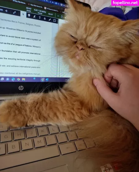 Honeythorne OnlyFans Thumbnail #03D4O7mSmf