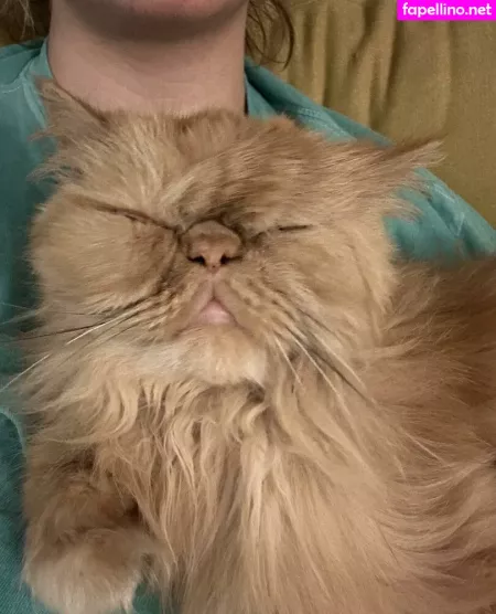 Honeythorne OnlyFans Thumbnail #Kwg1JGrlSA