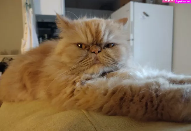 Honeythorne OnlyFans Thumbnail #OKuhERatnQ