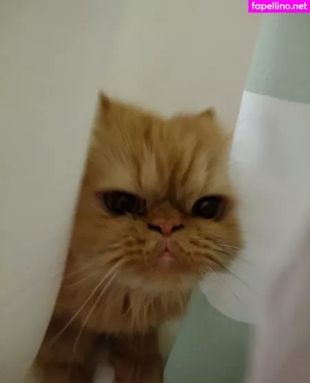 Honeythorne OnlyFans Thumbnail #TYZLU7uKfc