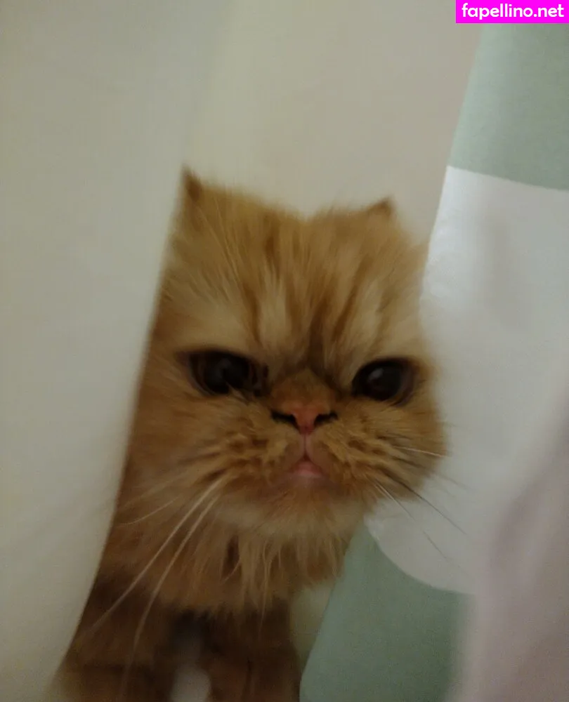 Hunny_Thorne, hunnythorne, thornehoney Nude Leaked OnlyFans Photo #TYZLU7uKfc