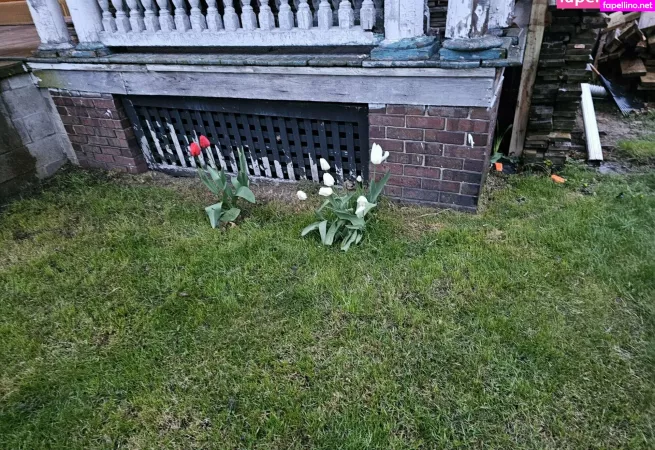 Hotmesstv OnlyFans Thumbnail #QnTfonwA6e