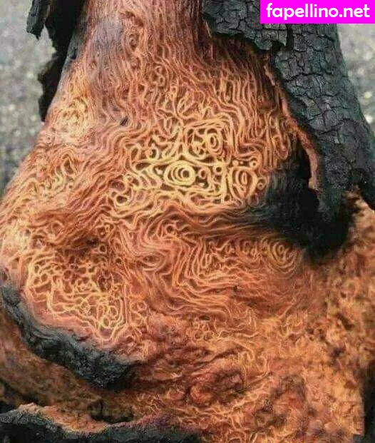 hotmesstv, hotmesstvtime Nude Leaked OnlyFans Photo #qid2xMwlc2