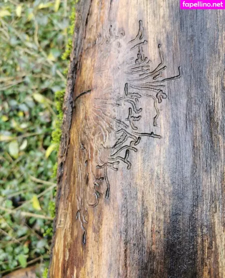 Houseofrae OnlyFans Thumbnail #7IxFk2PBnT