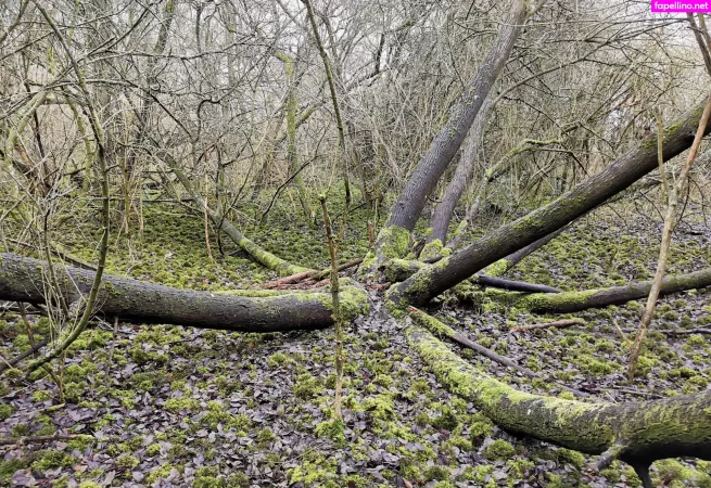 Houseofrae OnlyFans Thumbnail #82dUoPhZcr