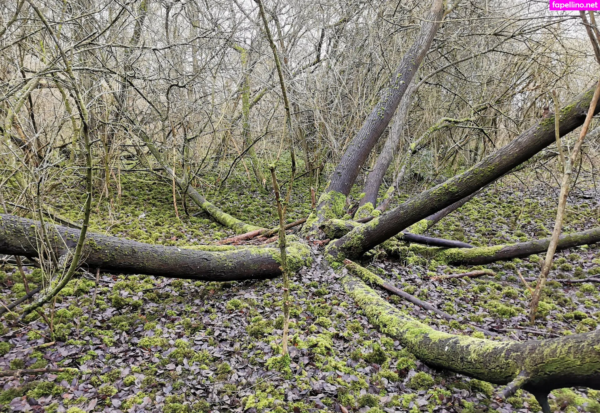 house_of_rae, houseofrae Nude Leaked OnlyFans Photo #82dUoPhZcr