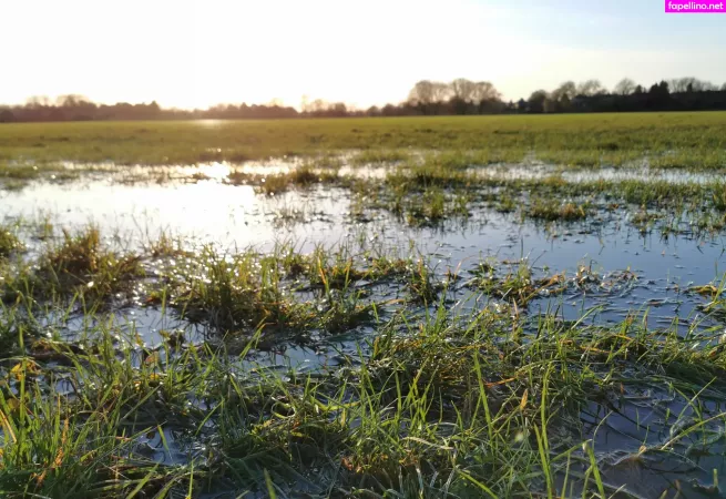 Houseofrae OnlyFans Thumbnail #ffhv6hzsGG