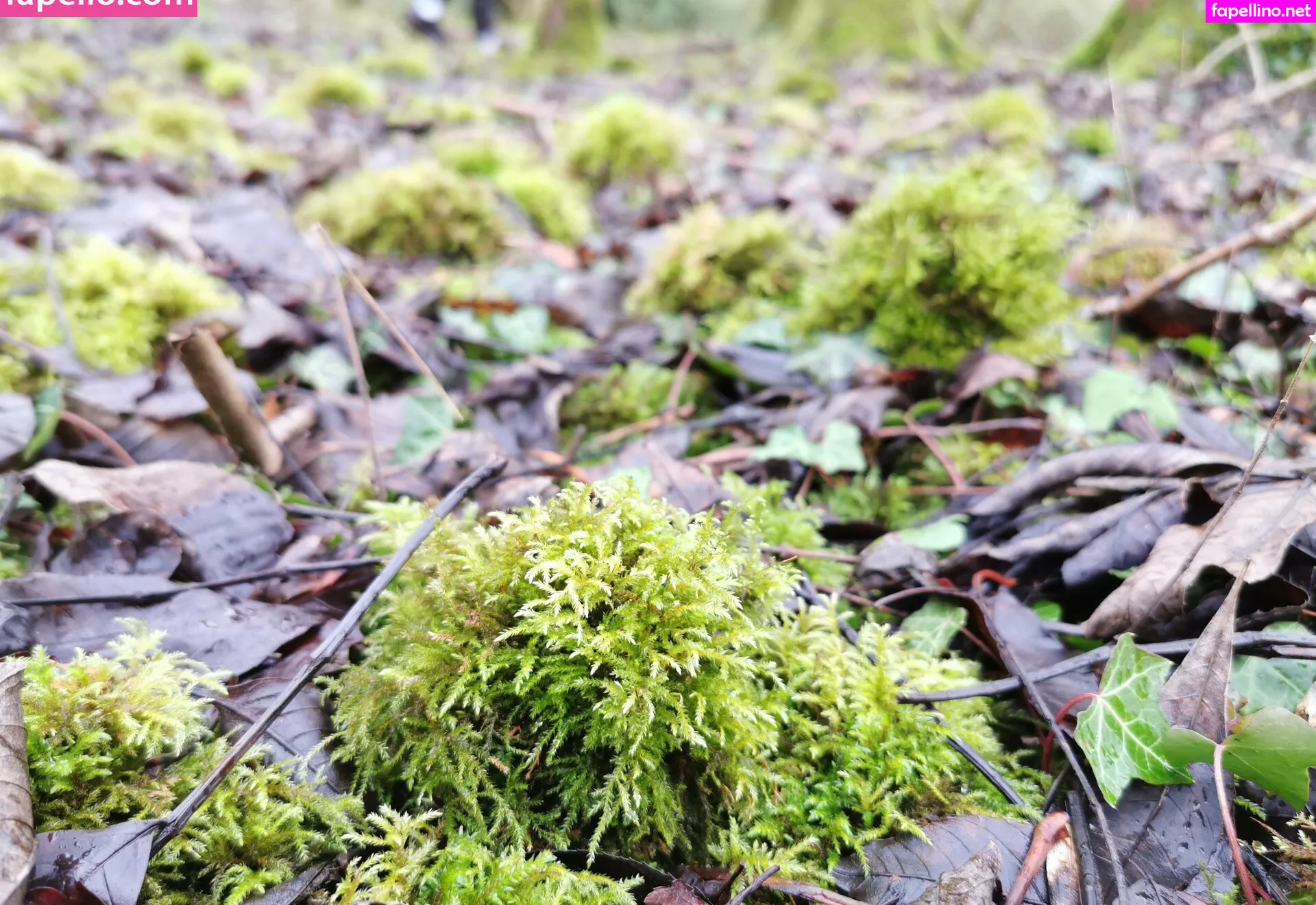 house_of_rae, houseofrae Nude Leaked OnlyFans Photo #toenzxXQmO