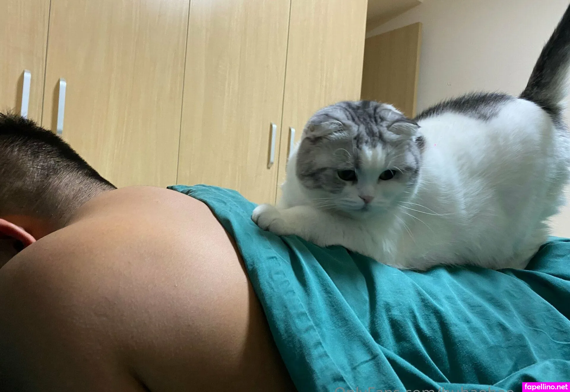 hubaobao17, hubaobao_robust Nude Leaked OnlyFans Photo #PPJMzWRzgP