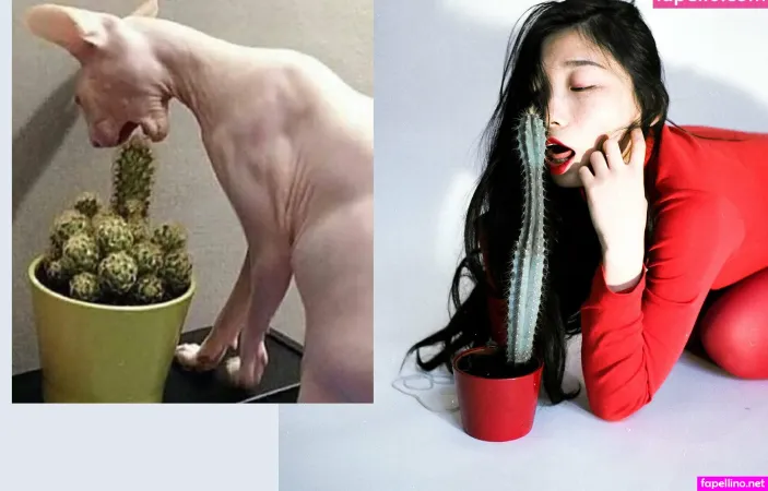 Humanchuo OnlyFans Thumbnail #doIOCMe51m