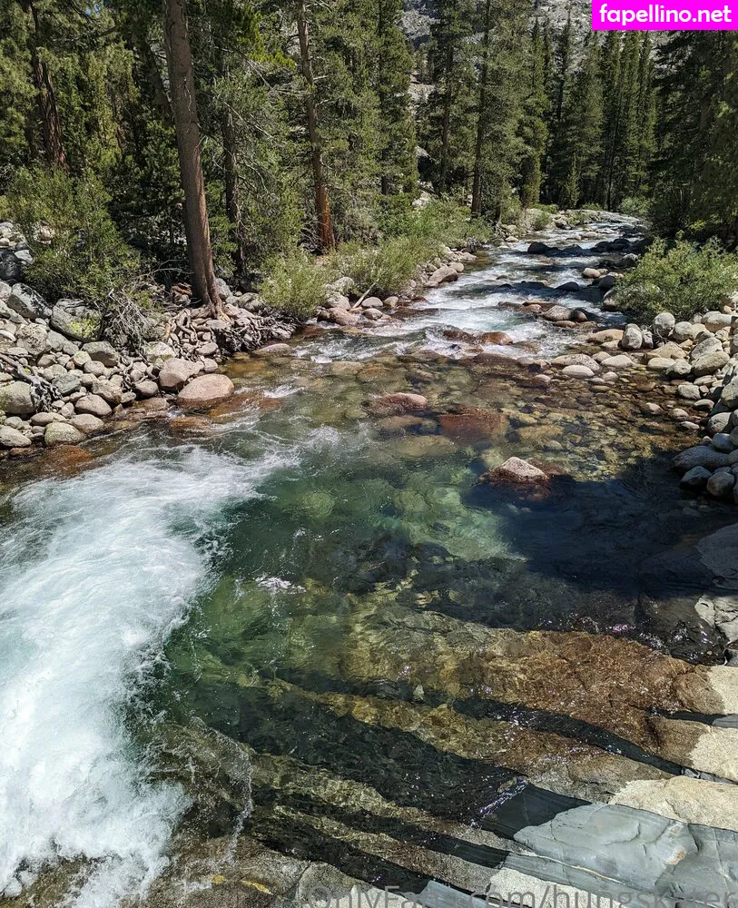 hungskater Nude Leaked OnlyFans Photo #AvmfpAgtjc