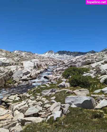 Hungskater OnlyFans Thumbnail #qAa59PrNyE