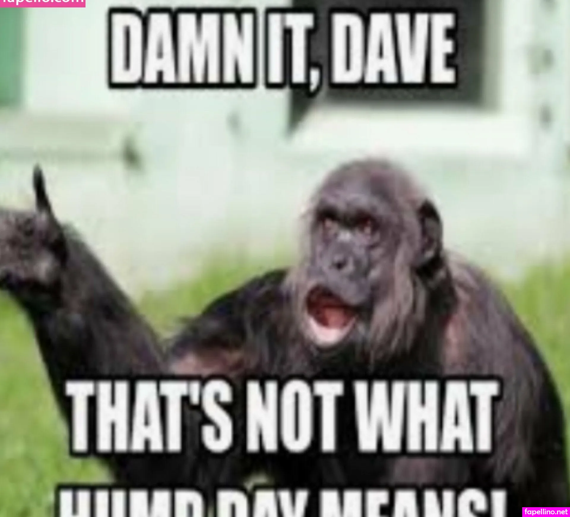 hushjane8, raisincaine_568 Nude Leaked OnlyFans Photo #xbebWVqUYF