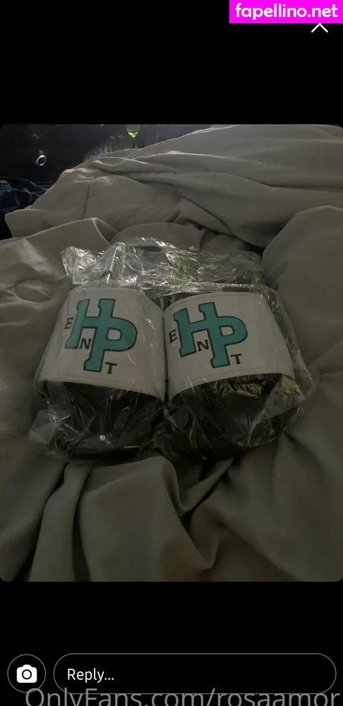 iamalannarose, iamamorarose Nude Leaked OnlyFans Photo #tU2ksT611P