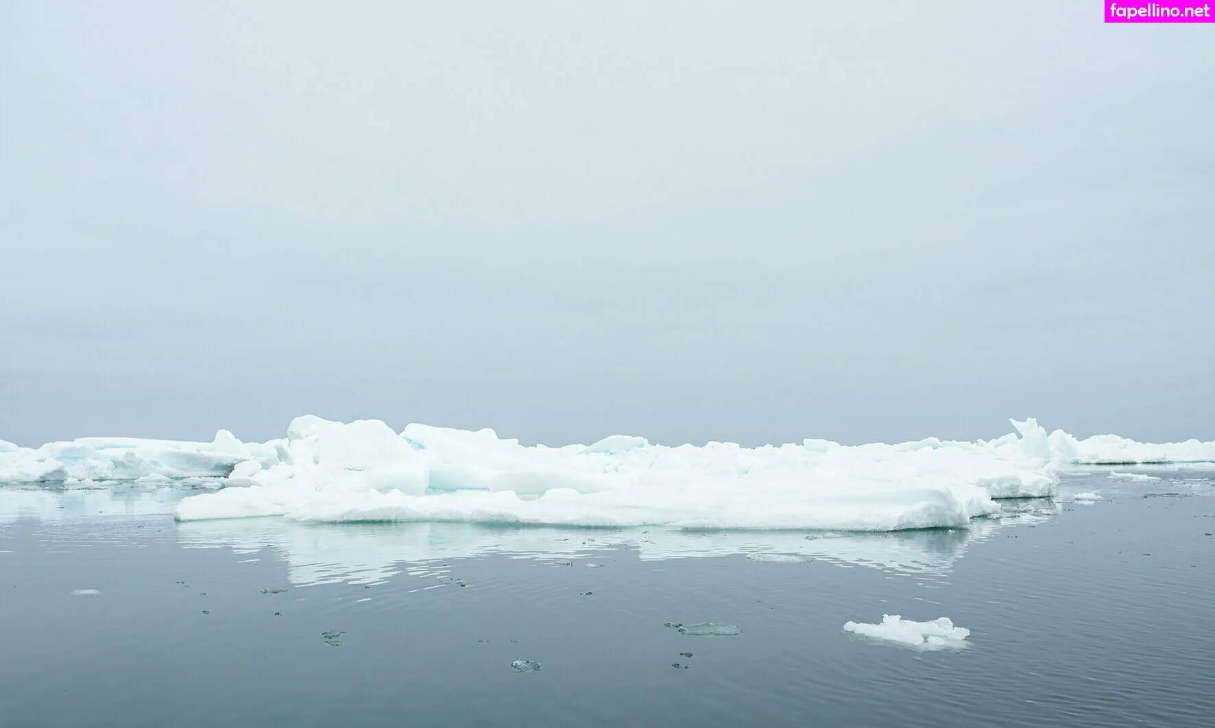 ice.ice.lady, iceicelady Nude Leaked OnlyFans Photo #UC98sdgQAZ