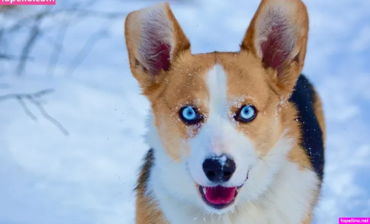 Ideal Elle OnlyFans Thumbnail #AVU7LFpWhV