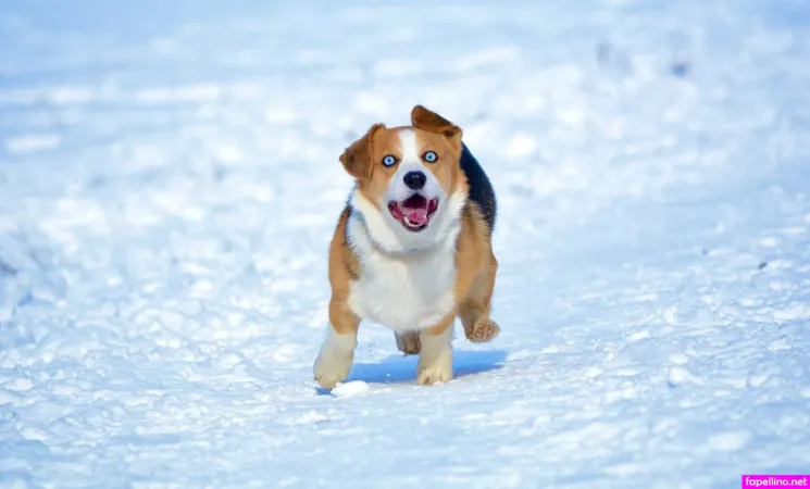 Ideal Elle OnlyFans Thumbnail #WjatNXxH4X