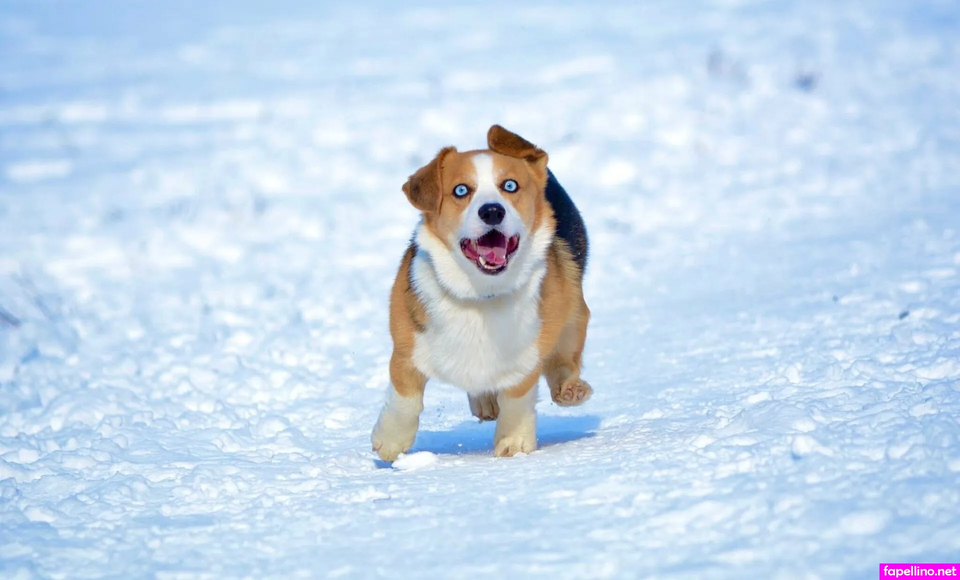 i_am_ideall, ideal_elle Nude Leaked OnlyFans Photo #WjatNXxH4X