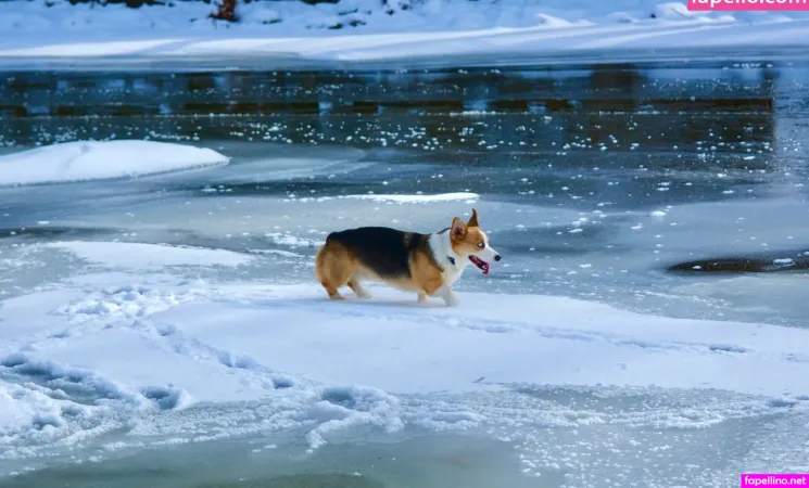 Ideal Elle OnlyFans Thumbnail #bRBxP3JJQr