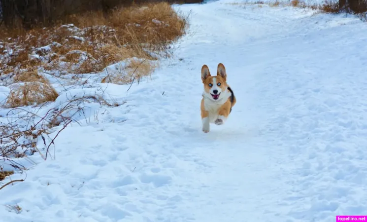 Ideal Elle Main Profile Photo