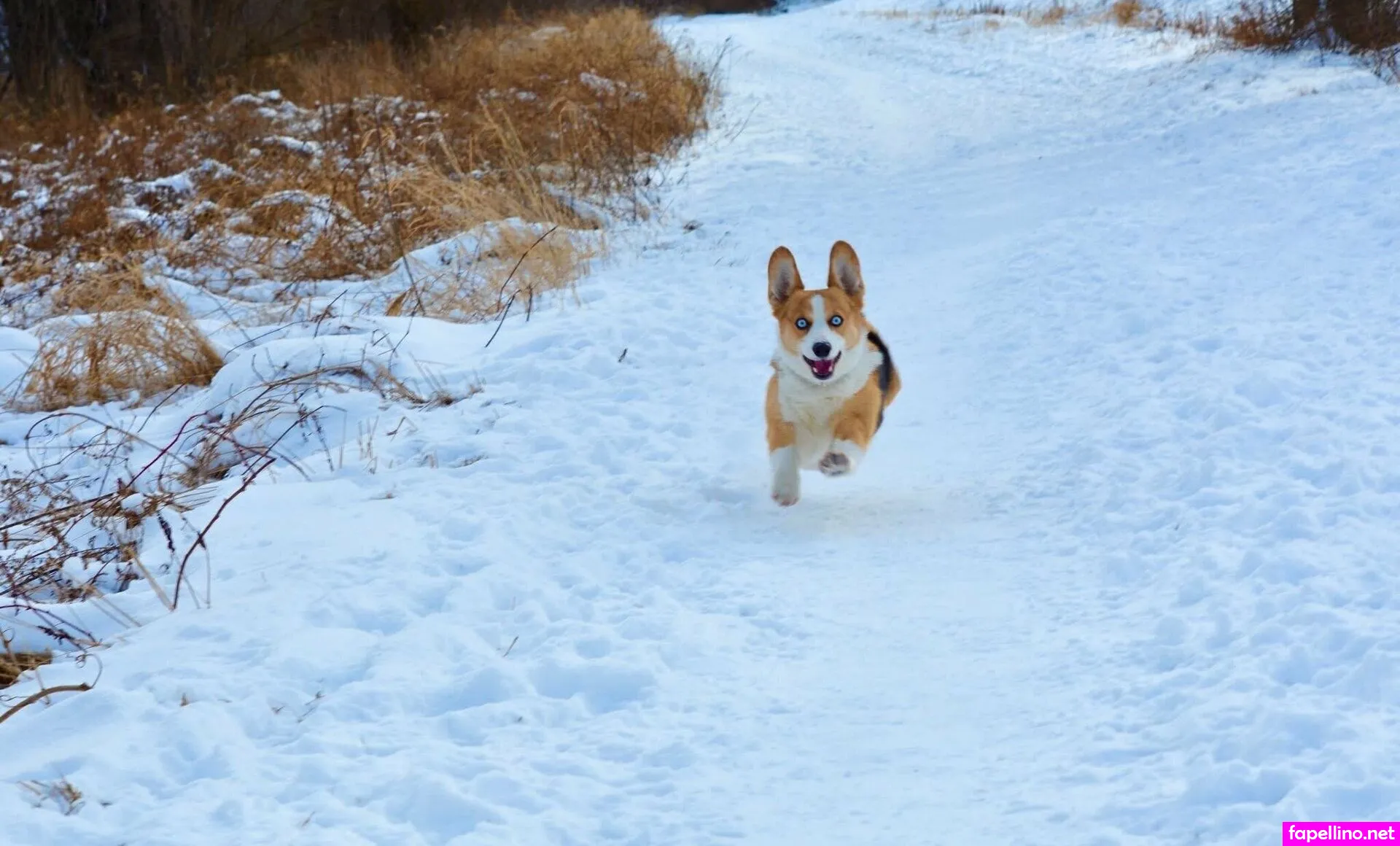 i_am_ideall, ideal_elle Nude Leaked OnlyFans Photo #kvkJorCNFa