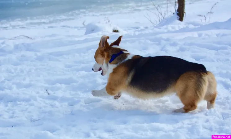 Ideal Elle OnlyFans Thumbnail #yLu6F4IKxC