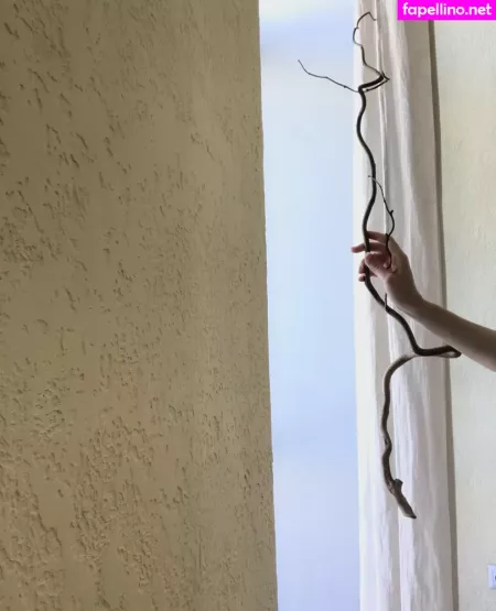 Idontwannaklesch OnlyFans Thumbnail #fyWsxydIr1
