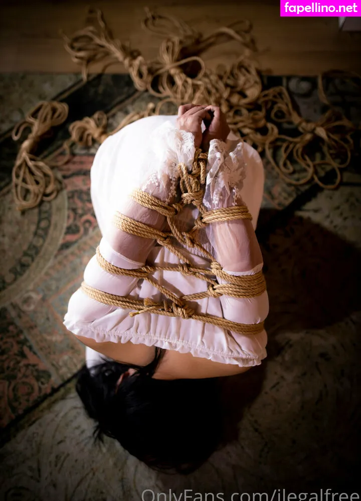 ilegal.free.fire, ilegalfree Nude Leaked OnlyFans Photo #YRcPgEMVAO