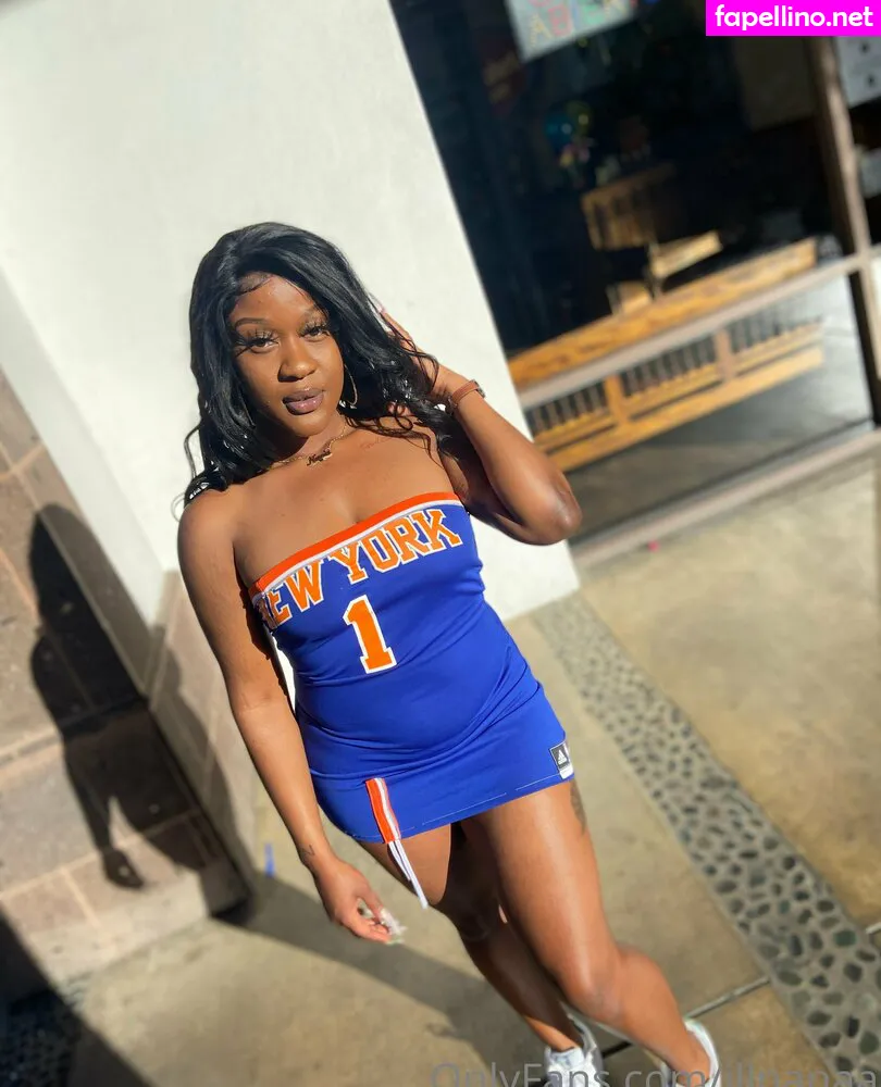 illnanaa Nude Leaked OnlyFans Photo #vMklTFMTfo