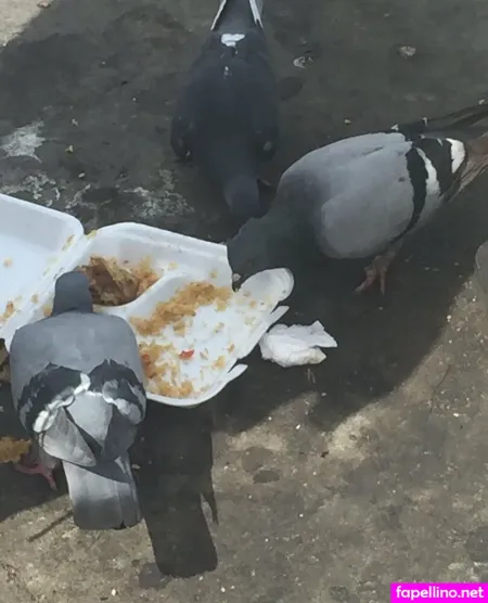 Illtakeeverything OnlyFans Thumbnail #BfZBdUdVUn