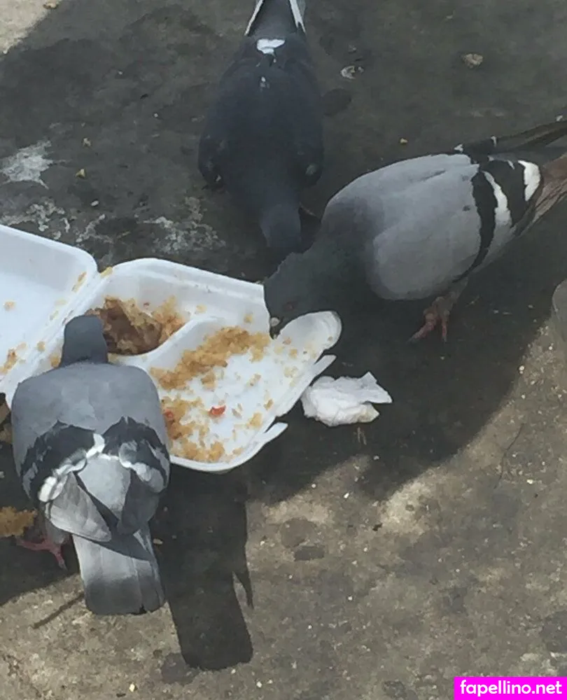 illtakeeverything Nude Leaked OnlyFans Photo #BfZBdUdVUn