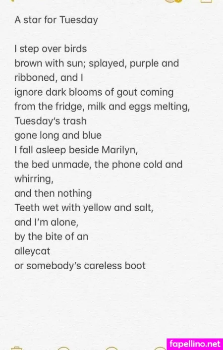 Illtakeeverything OnlyFans Thumbnail #N8DQGnUByV