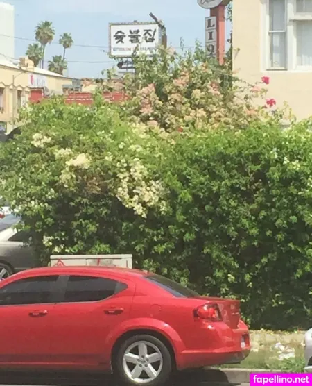 Illtakeeverything OnlyFans Thumbnail #vwWtDL0FVT