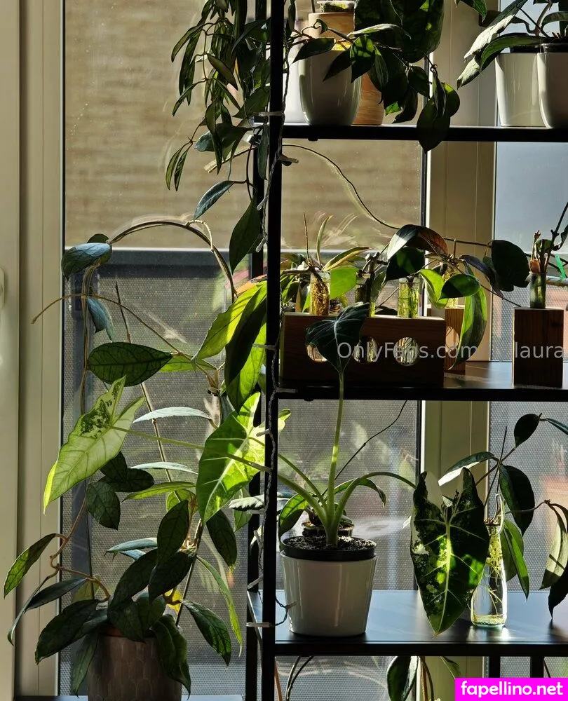 ily.laura, ily_laura Nude Leaked OnlyFans Photo #yjb4aoBLyy