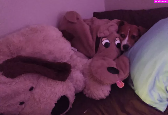 Imamazingbitch OnlyFans Thumbnail #dYS1SEXPrq